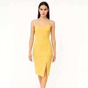 Lyaner Women's Sleeveless Spaghetti Strap Back Zip Knee Length Cocktail Dress M